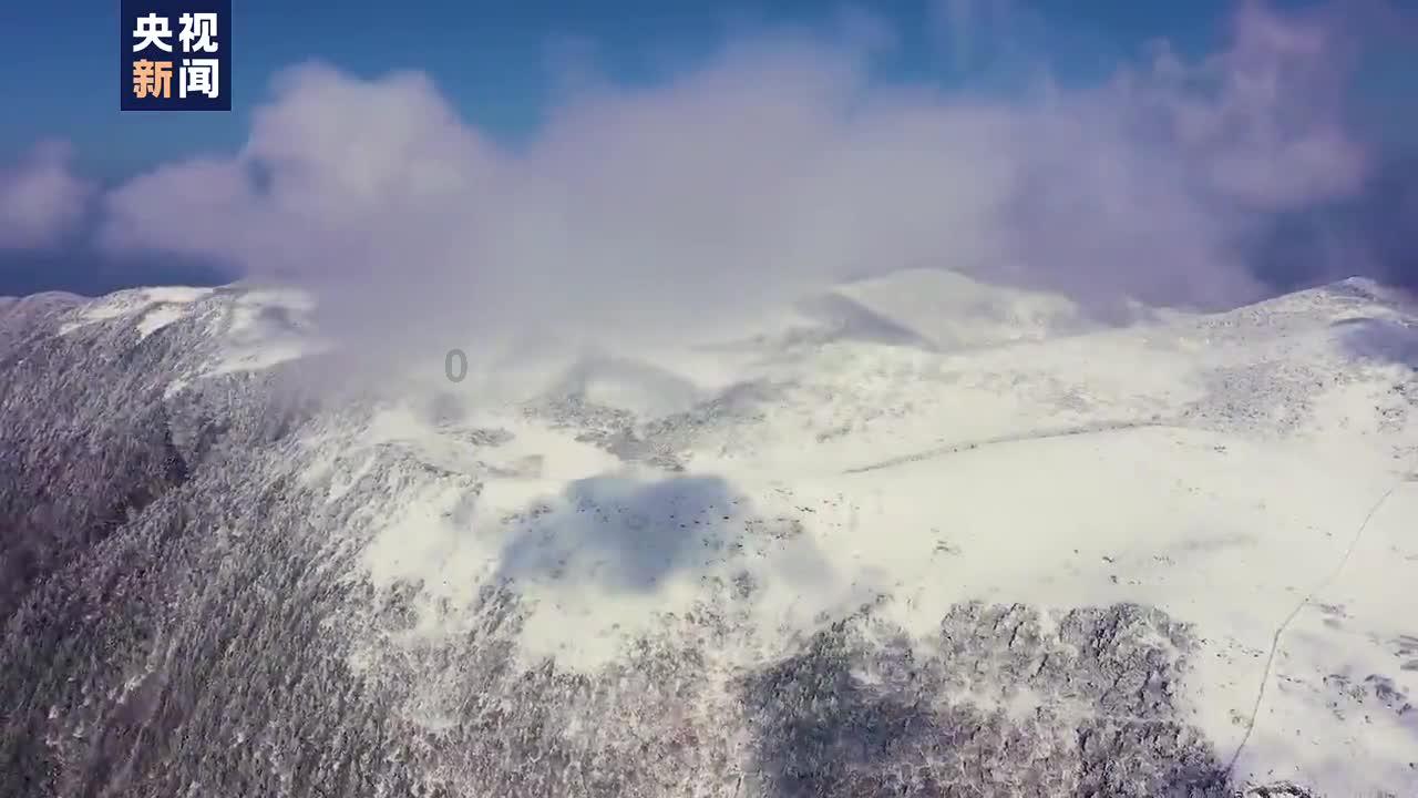 逃出昏暗的地下室2