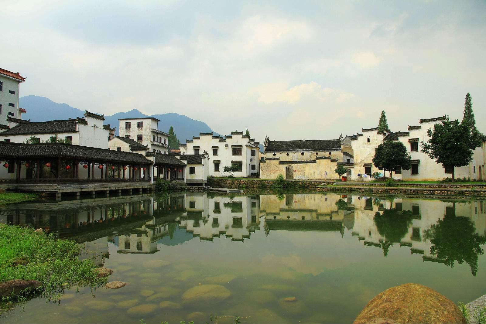 威海高区税务局：深耕精细化服务 绘就税务好“枫”景